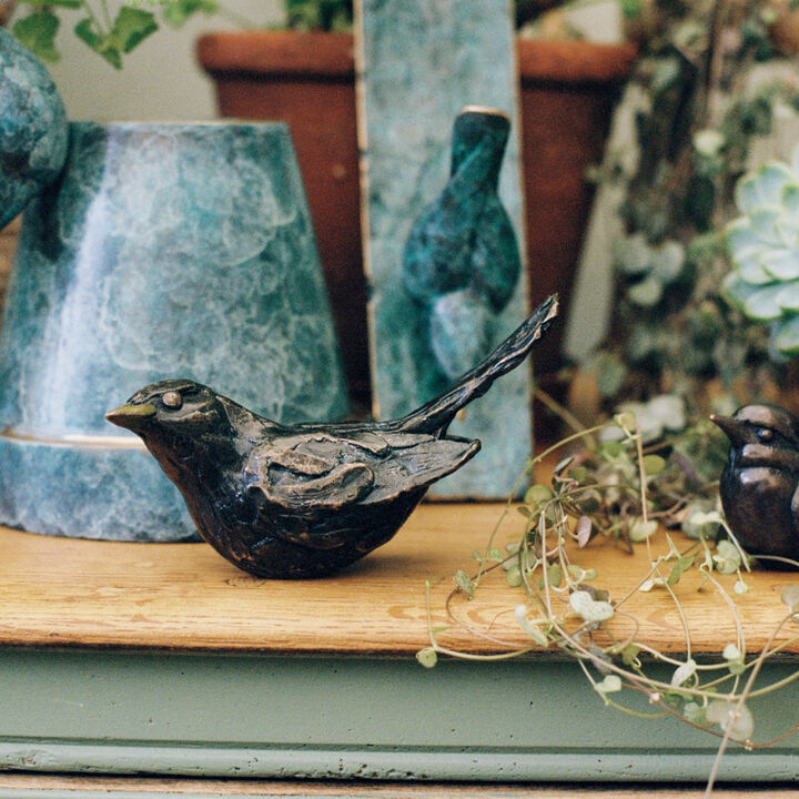 Black bird.jpg