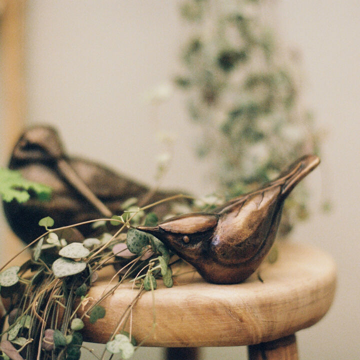 Nuthatch.jpg