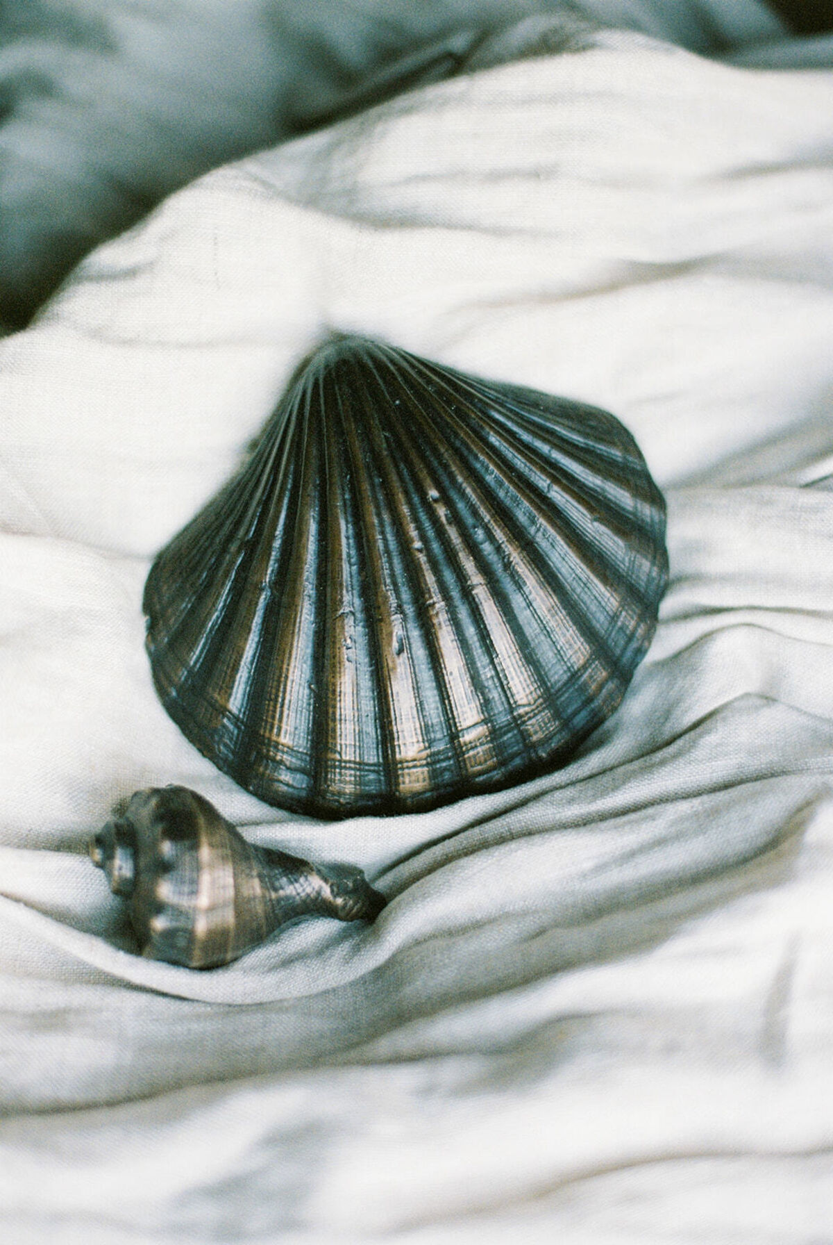 Copy of TLF Studios-7.jpg