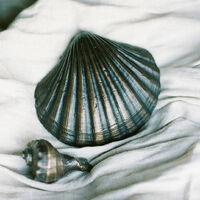 Copy of TLF Studios-7.jpg