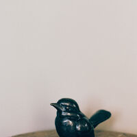 TLF Studios-29 (1).jpg